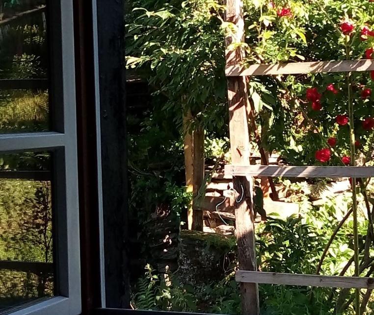 Haus am Oberen Mühlenberg mit GARTENNUTZUNG Monschau Exterior foto